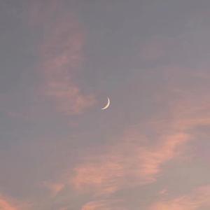 郎玉专辑《玉1》
